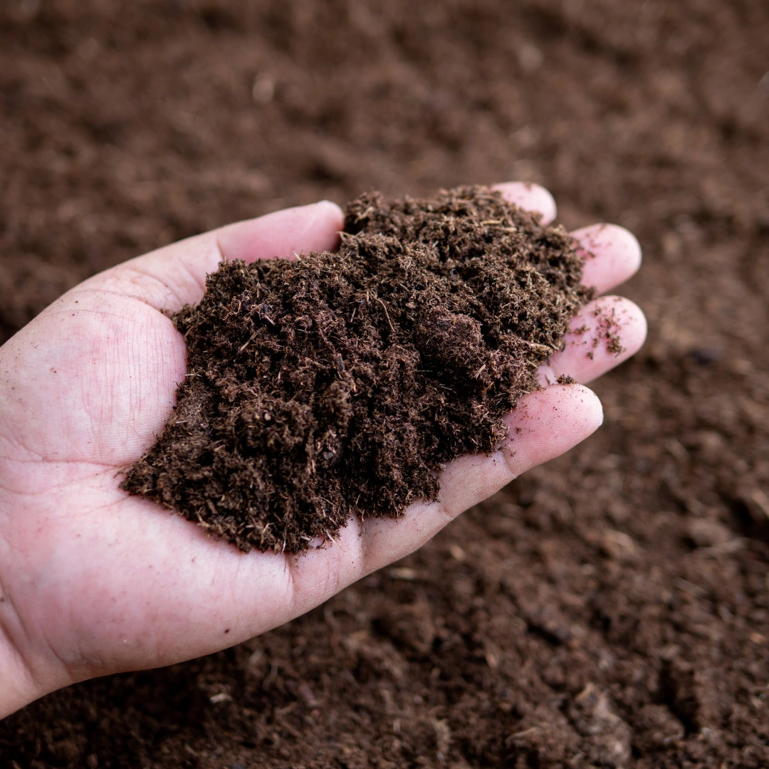 Hand holding rich compost soil